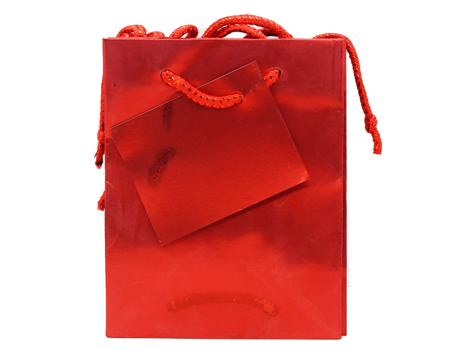 Gift Bags Matt / Gloss Everyday Small 3410T (5.5X4.25") - VIR Wholesale