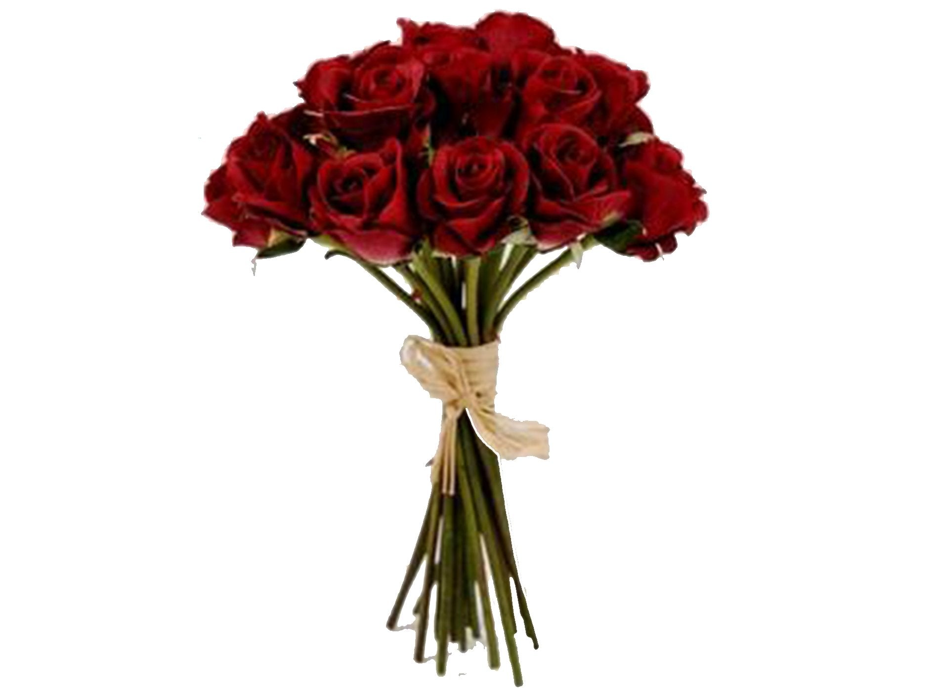 Silk Roses Red (Ideal For Mothers Day) - VIR Wholesale